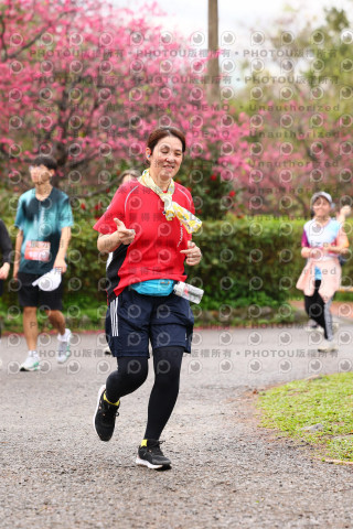 2026左岸竹東櫻花馬拉松Zhudong Sakura Marathon