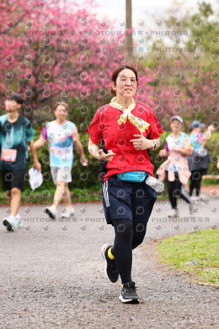 2026左岸竹東櫻花馬拉松Zhudong Sakura Marathon