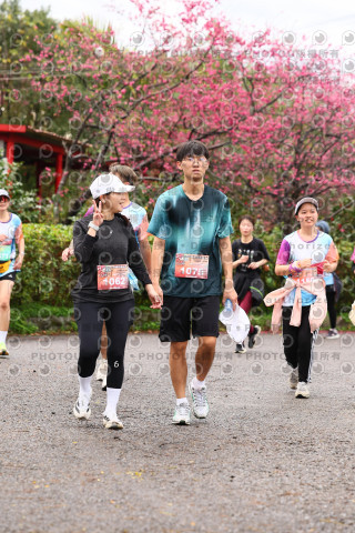 2026左岸竹東櫻花馬拉松Zhudong Sakura Marathon