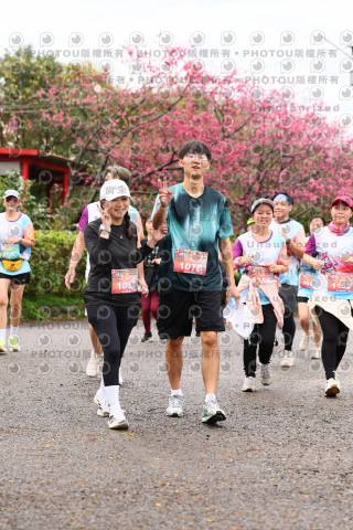 2026左岸竹東櫻花馬拉松Zhudong Sakura Marathon