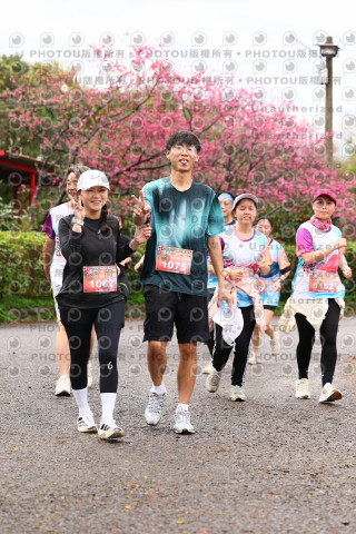 2026左岸竹東櫻花馬拉松Zhudong Sakura Marathon