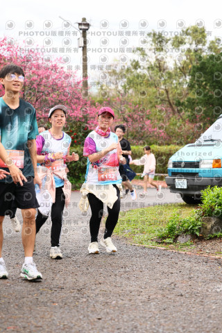 2026左岸竹東櫻花馬拉松Zhudong Sakura Marathon