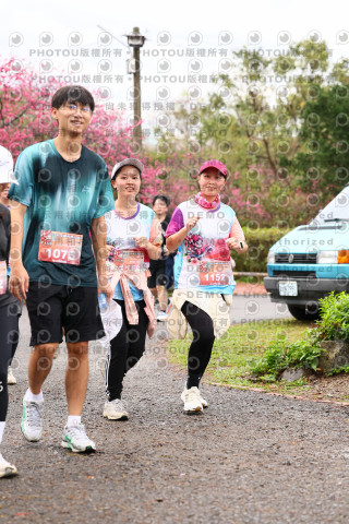 2026左岸竹東櫻花馬拉松Zhudong Sakura Marathon