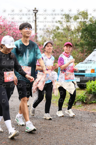 2026左岸竹東櫻花馬拉松Zhudong Sakura Marathon