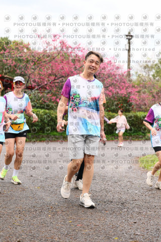 2026左岸竹東櫻花馬拉松Zhudong Sakura Marathon