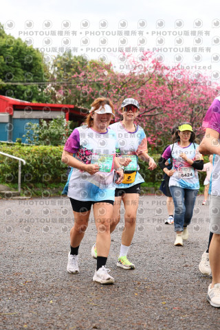 2026左岸竹東櫻花馬拉松Zhudong Sakura Marathon