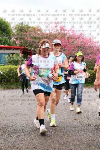 2026左岸竹東櫻花馬拉松Zhudong Sakura Marathon