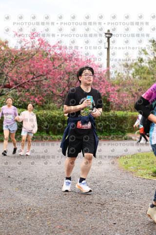 2026左岸竹東櫻花馬拉松Zhudong Sakura Marathon
