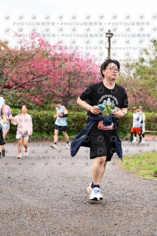 2026左岸竹東櫻花馬拉松Zhudong Sakura Marathon