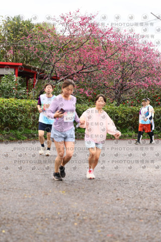 2026左岸竹東櫻花馬拉松Zhudong Sakura Marathon