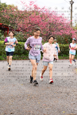 2026左岸竹東櫻花馬拉松Zhudong Sakura Marathon