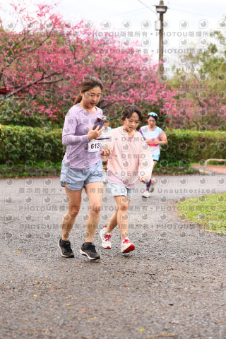 2026左岸竹東櫻花馬拉松Zhudong Sakura Marathon