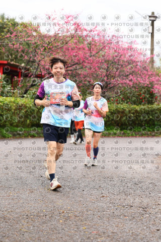 2026左岸竹東櫻花馬拉松Zhudong Sakura Marathon