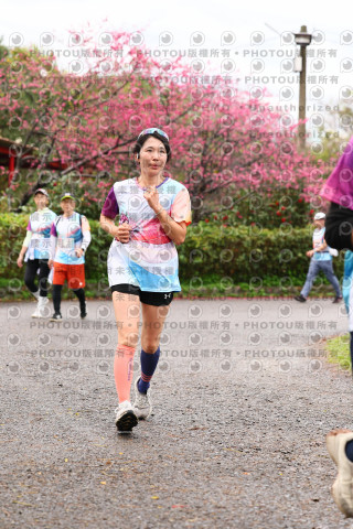 2026左岸竹東櫻花馬拉松Zhudong Sakura Marathon