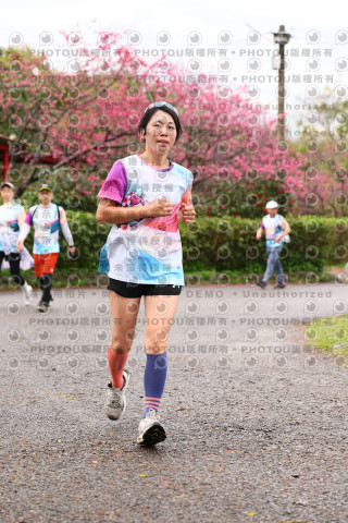 2026左岸竹東櫻花馬拉松Zhudong Sakura Marathon