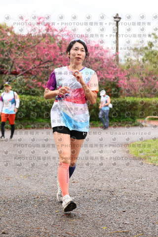 2026左岸竹東櫻花馬拉松Zhudong Sakura Marathon