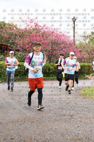 2026左岸竹東櫻花馬拉松Zhudong Sakura Marathon