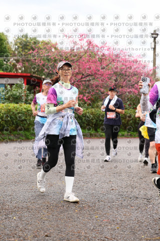 2026左岸竹東櫻花馬拉松Zhudong Sakura Marathon