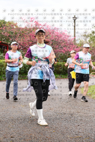 2026左岸竹東櫻花馬拉松Zhudong Sakura Marathon