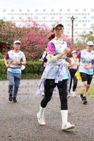 2026左岸竹東櫻花馬拉松Zhudong Sakura Marathon