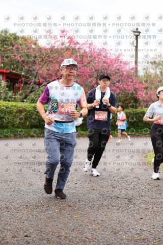 2026左岸竹東櫻花馬拉松Zhudong Sakura Marathon