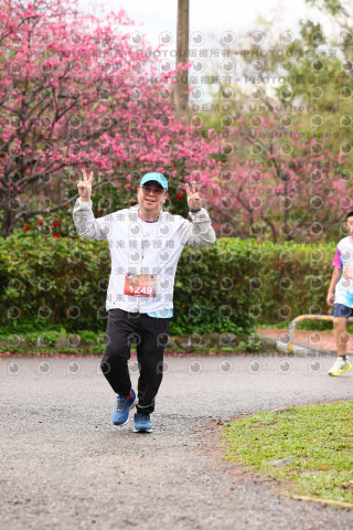 2026左岸竹東櫻花馬拉松Zhudong Sakura Marathon