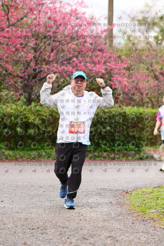 2026左岸竹東櫻花馬拉松Zhudong Sakura Marathon