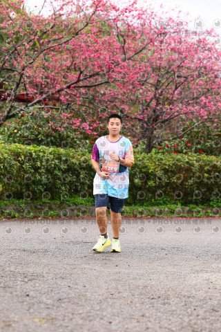 2026左岸竹東櫻花馬拉松Zhudong Sakura Marathon