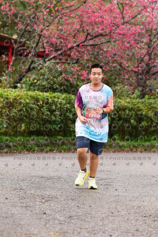 2026左岸竹東櫻花馬拉松Zhudong Sakura Marathon