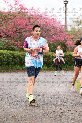 2026左岸竹東櫻花馬拉松Zhudong Sakura Marathon