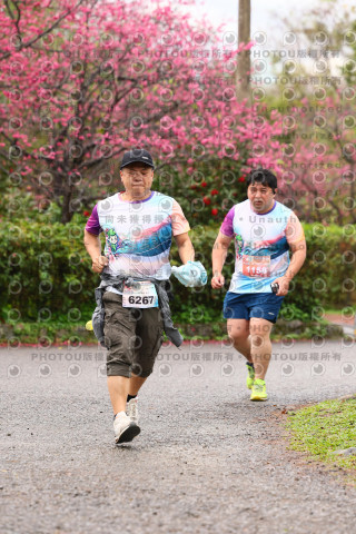 2026左岸竹東櫻花馬拉松Zhudong Sakura Marathon