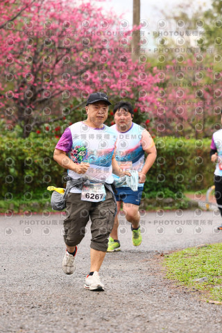 2026左岸竹東櫻花馬拉松Zhudong Sakura Marathon
