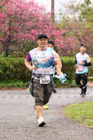 2026左岸竹東櫻花馬拉松Zhudong Sakura Marathon