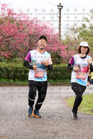 2026左岸竹東櫻花馬拉松Zhudong Sakura Marathon