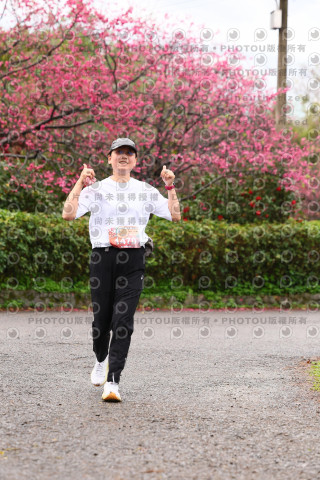 2026左岸竹東櫻花馬拉松Zhudong Sakura Marathon