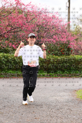 2026左岸竹東櫻花馬拉松Zhudong Sakura Marathon