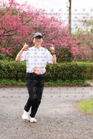 2026左岸竹東櫻花馬拉松Zhudong Sakura Marathon