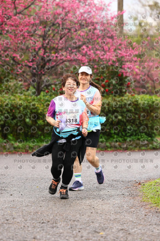 2026左岸竹東櫻花馬拉松Zhudong Sakura Marathon