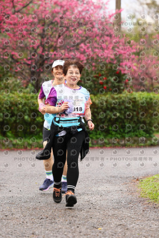 2026左岸竹東櫻花馬拉松Zhudong Sakura Marathon