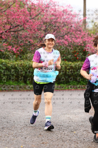 2026左岸竹東櫻花馬拉松Zhudong Sakura Marathon
