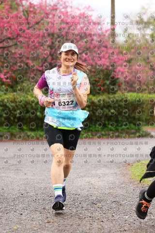 2026左岸竹東櫻花馬拉松Zhudong Sakura Marathon