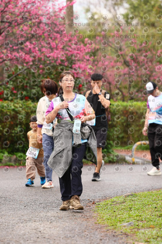 2026左岸竹東櫻花馬拉松Zhudong Sakura Marathon