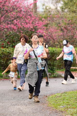2026左岸竹東櫻花馬拉松Zhudong Sakura Marathon