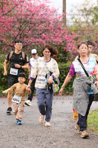 2026左岸竹東櫻花馬拉松Zhudong Sakura Marathon