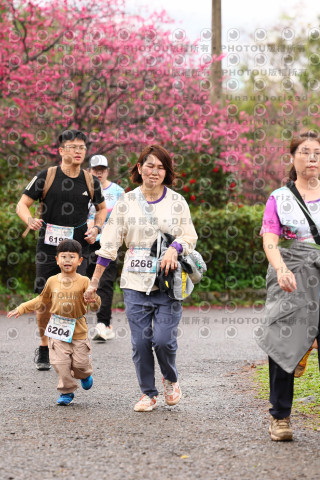 2026左岸竹東櫻花馬拉松Zhudong Sakura Marathon