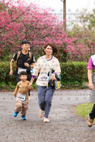 2026左岸竹東櫻花馬拉松Zhudong Sakura Marathon