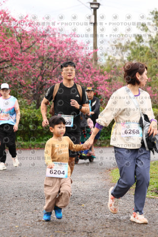 2026左岸竹東櫻花馬拉松Zhudong Sakura Marathon