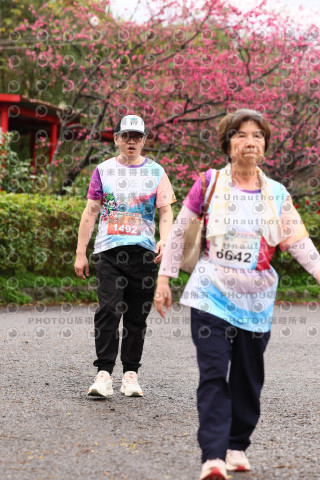 2026左岸竹東櫻花馬拉松Zhudong Sakura Marathon
