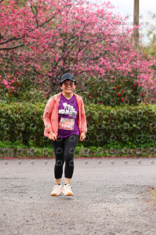 2026左岸竹東櫻花馬拉松Zhudong Sakura Marathon