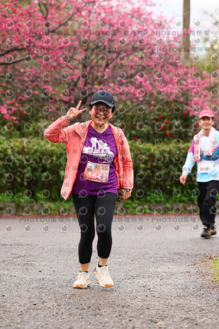 2026左岸竹東櫻花馬拉松Zhudong Sakura Marathon